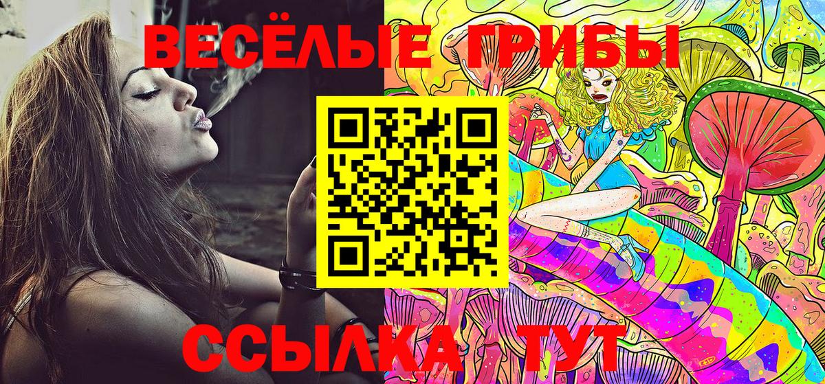 Псилоцибиновые грибы мицелий Гусь-Хрустальный